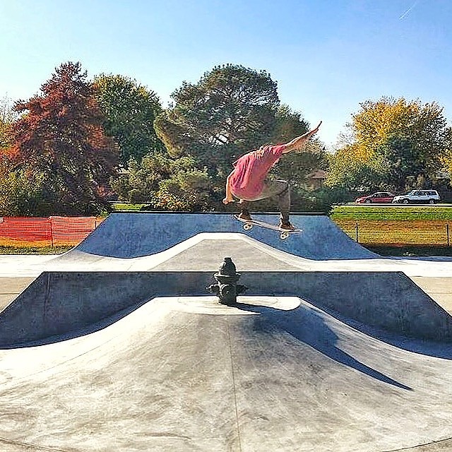 Tierra skatepark